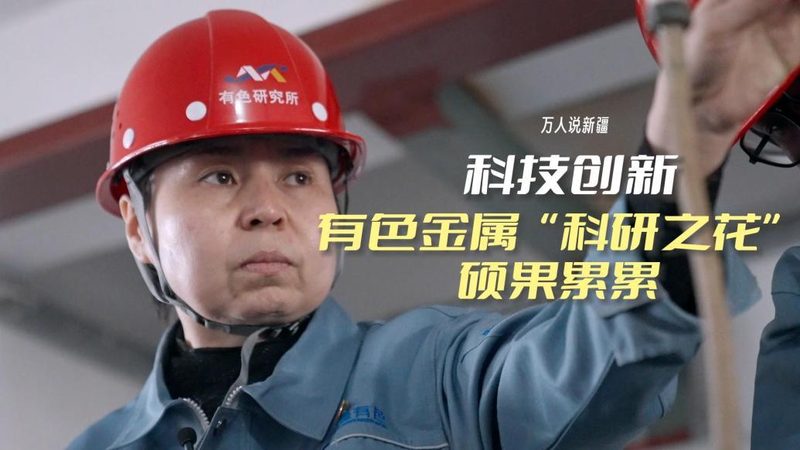 OA协同办公企业版：揭秘厂家直销的优势与选型要点
